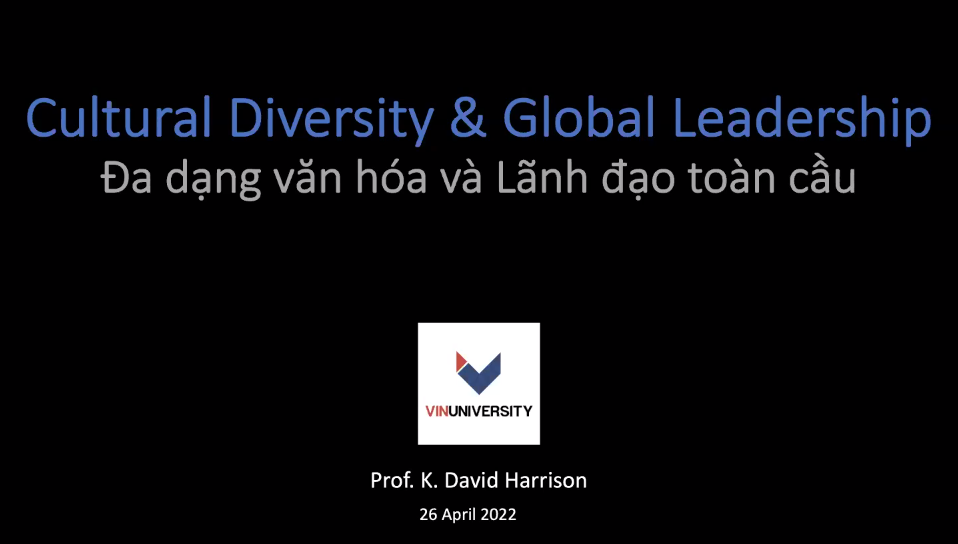 “Chat with David” about Cultural Diversity and Global Leadership