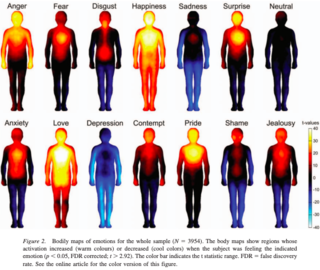 Do Emotions Feel the Same Across Different Cultures?